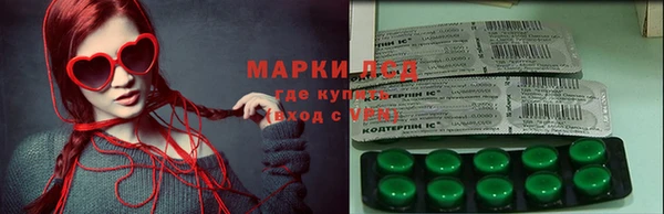 трава Аркадак