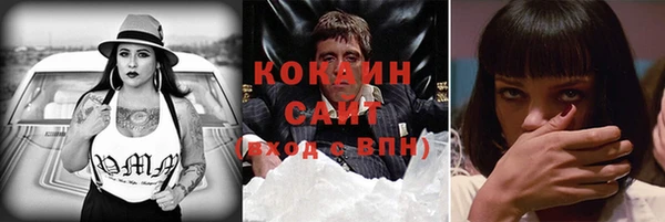 дмт Арсеньев