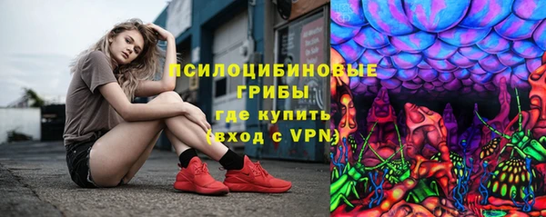 дмт Арсеньев
