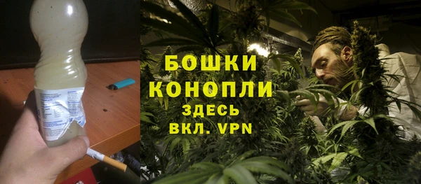 трава Аркадак