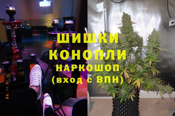 трава Аркадак
